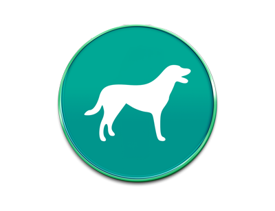 icone-programme-chien-educateur-canin-chien-chiot-saint-andre-evreux-eure-27-correcteure